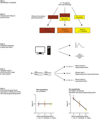 Interictal Fast Ripples Are Associated With the Seizure-Generating Lesion in Patients With Dual Pathology